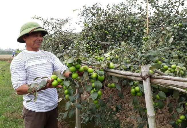 Giải pháp tin cậy để phát hiện hàng giả