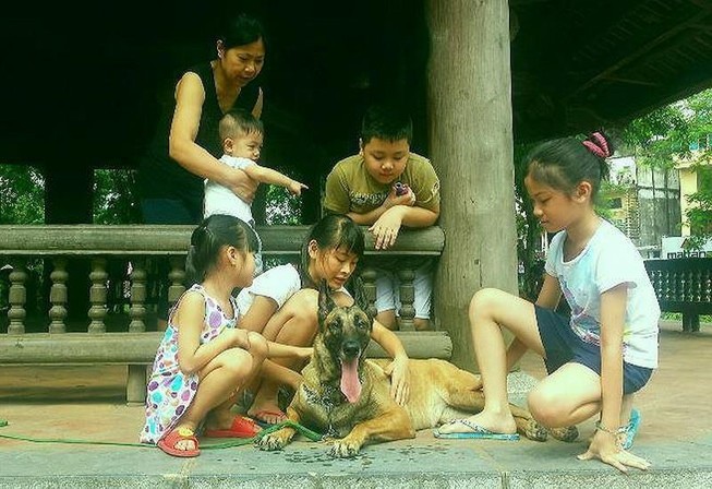 Vì sao chó hay cắn trẻ em?