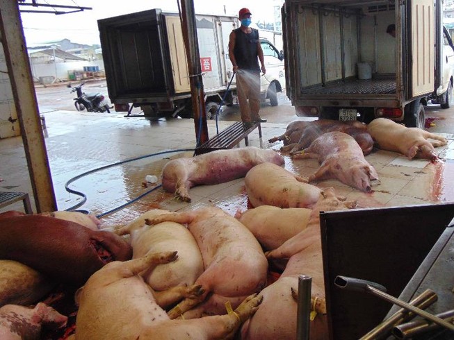 'Đầu độc người khác không ân hận, xử phạt lại kêu ca'