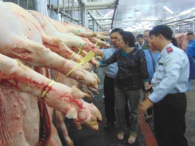 Heo lở mồm long móng bị chặt 4 chân để 'che mắt' người mua