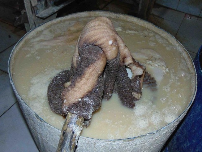 “Hô biến” sách bò đen thui thành trắng toát