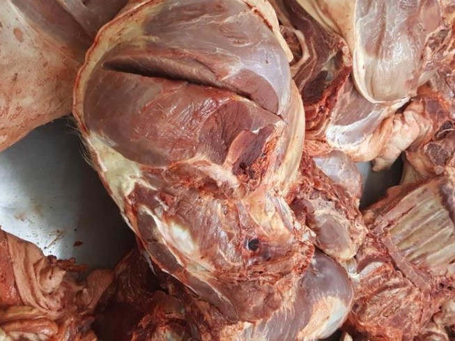 Thịt heo bệnh lại suýt vô chợ Bình Điền
