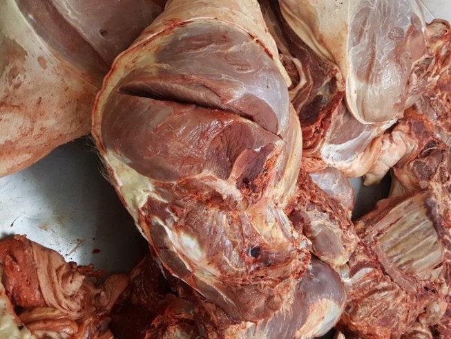 TP.HCM chặn đứng thịt heo bệnh vào 2 chợ đầu mối cuối năm