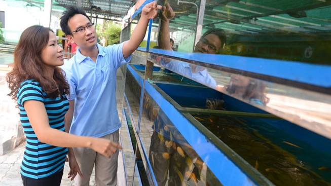 Học cao vẫn thất nghiệp: Lỗi do đào tạo