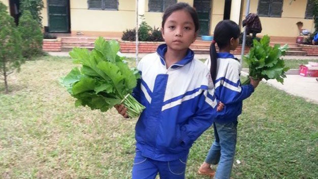 Quà tặng thầy cô là rau, măng, hoa dại