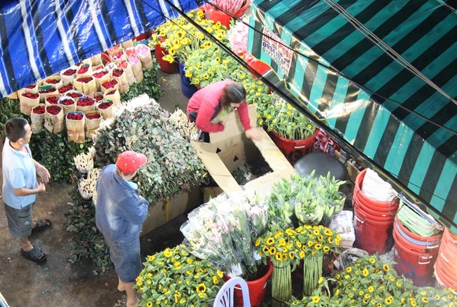 Trước ngày 8-3, chợ hoa Hồ Thị Kỷ có gì hấp dẫn?