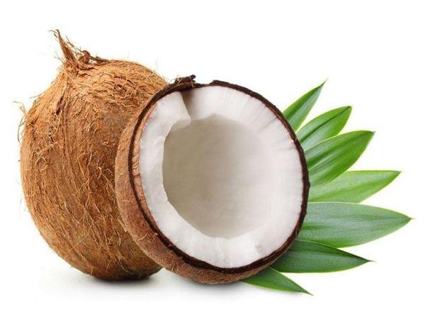 Một cuốn sách kỳ diệu về dừa