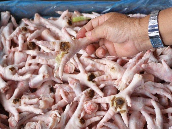 Chân gà Ba Lan liệu có tràn ra... quán nhậu?