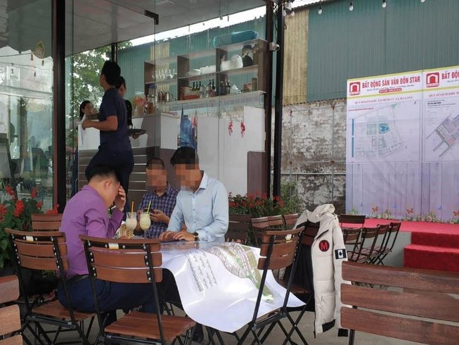Thanh tra việc thổi giá, chuyển nhượng đất rừng Vân Đồn