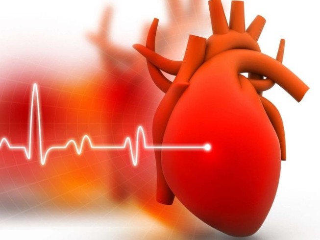 Gần 2 triệu người Việt Nam đang mắc bệnh suy tim