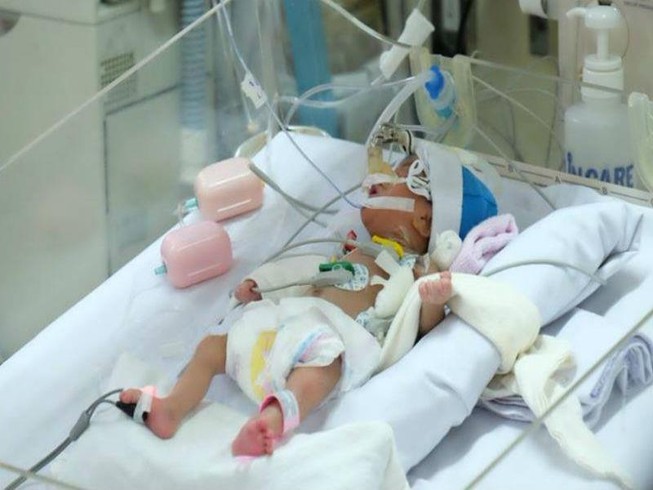Hành trình 12 năm và 10.000 trái tim nhỏ được hồi sinh
