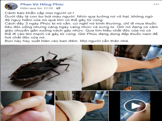 Bọ xít hút máu gây tử vong xuất hiện ở Sài Gòn?