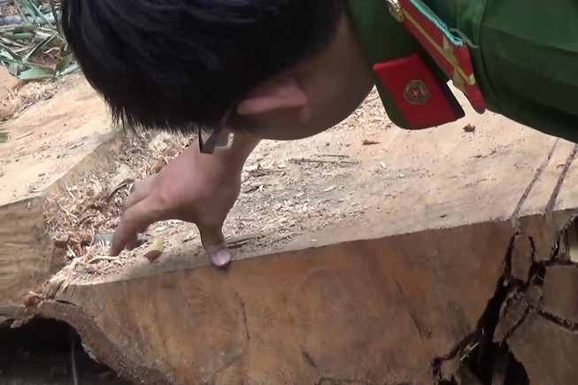 Sở Nông nghiệp Đắk Lắk yêu cầu làm rõ vụ phá rừng Nam Kar