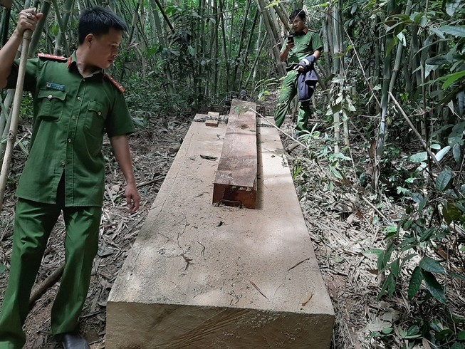 Bí thư Tỉnh ủy Đắk Lắk: Sẽ xử lý nghiêm vụ phá rừng Nam Kar!