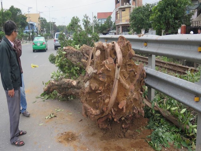 Vụ tàu SE2 dừng khẩn cấp, phạt tài xế xe cẩu 4 triệu