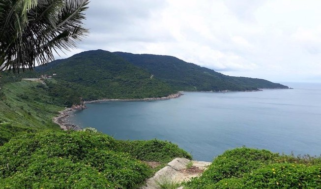 Dừng tham quan bán đảo Sơn Trà từ ngày 2-11