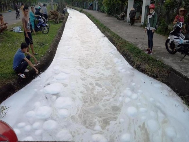 Nghi dùng thuốc trừ sâu để đầu độc, cá chết trắng kênh