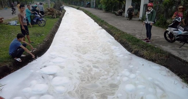 Người dân súc thùng phuy, cá chết trắng kênh