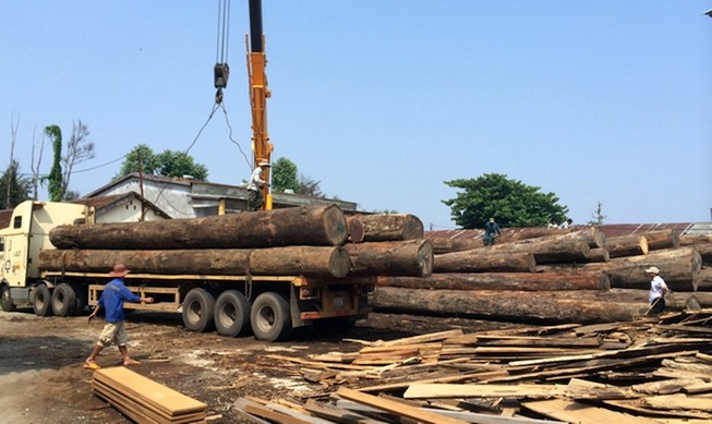 Một tài xế bị gỗ đè tử vong