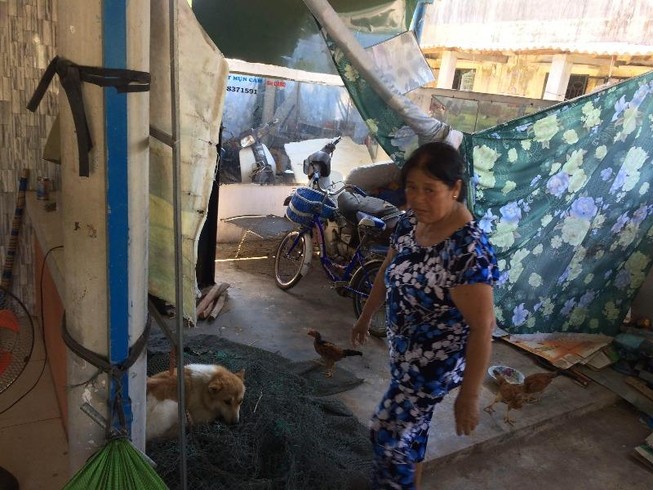 Vụ chó cắn 6 học sinh: Chó không được tiêm phòng dại
