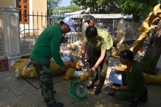 Xe bưu phẩm chở gỗ lậu phóng vun vút trên cao tốc