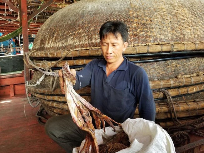 Ngư dân khóc ròng vì thương lái Trung Quốc không mua mực