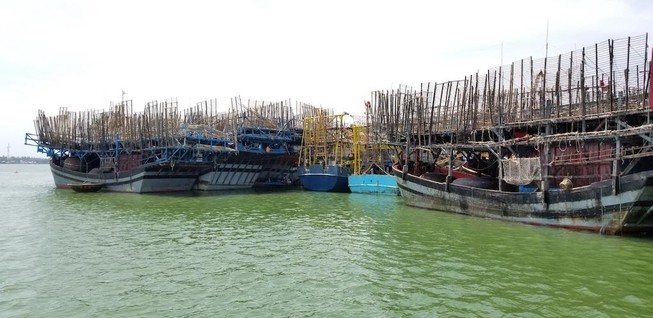 930 tấn mực khô ứ đọng vì Trung Quốc không mua
