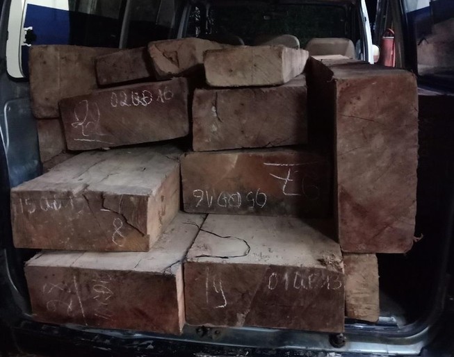 CSGT truy đuổi xe chở gỗ lậu như phim hành động