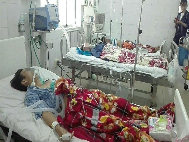 Ngộ độc cá nóc: 3 người nguy kịch có dấu hiệu sinh tồn