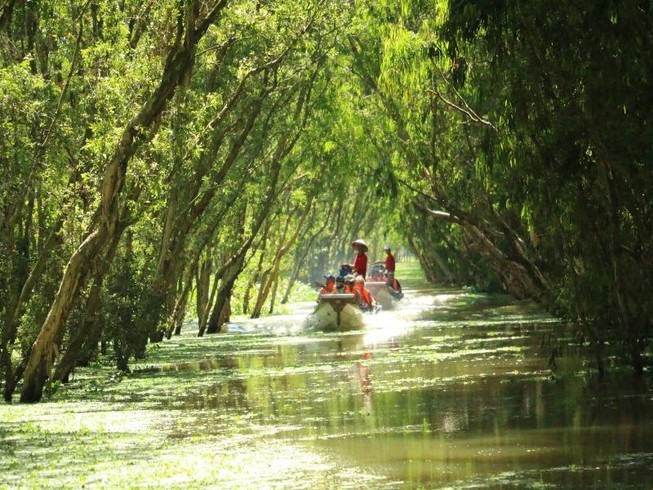 Du khách ngoại thích bắt cá, cưỡi xe bò... ở miền Tây