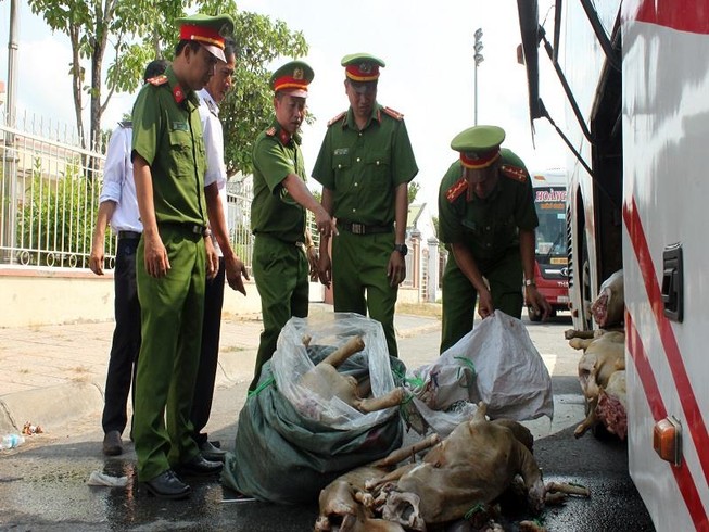 200kg thịt dê không có kiểm dịch trên xe khách