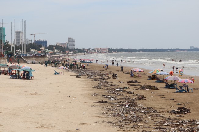 Vài trăm tấn rác 'tấn công' biển Vũng Tàu