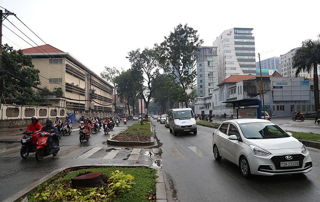 Hàng cây đường Tôn Đức Thắng trước và sau khi đốn hạ