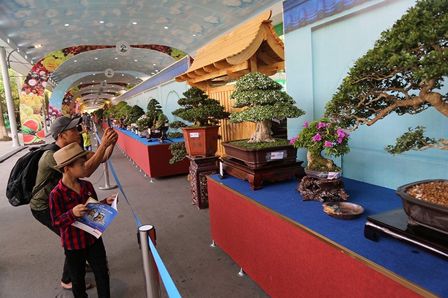 Cận cảnh những tác phẩm bonsai, suiseki tiền tỉ đổ bộ TP.HCM