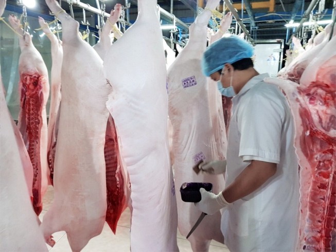 Thịt heo VietGAHP có bán tại 6 trung tâm MM Mega Market