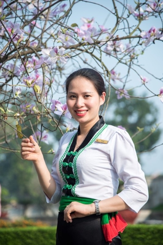 Khám phá vẻ đẹp mùa xuân phương Bắc