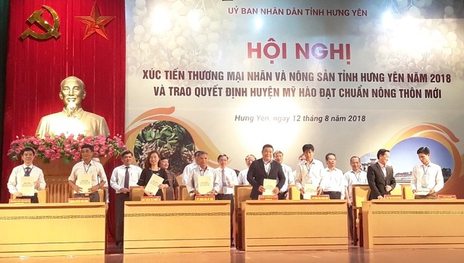 SaigonCo.op bao tiêu tối thiểu 100 tấn nhãn lồng Hưng Yên