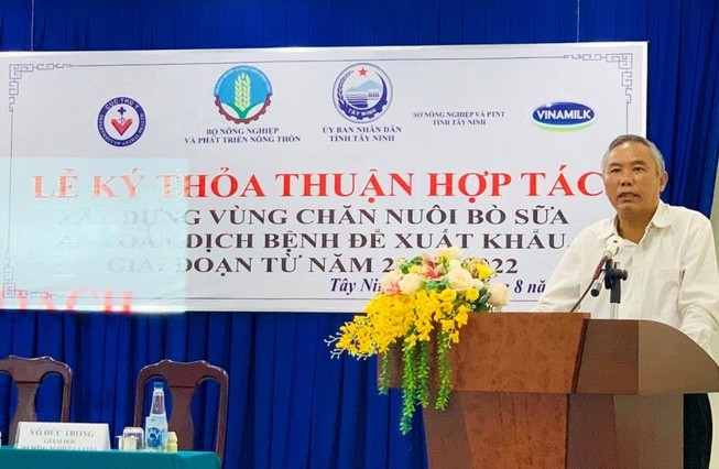 Xây dựng vùng chăn nuôi bò sữa an toàn dịch bệnh
