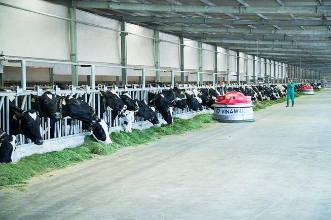 Vinamilk gia nhập CLB 'một tỉ đô' của châu Á-Thái Bình Dương