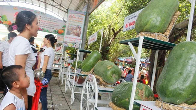Bí đao nặng nửa tạ hút du khách