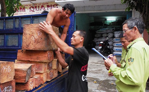 Phát hiện chín điểm cất giấu gỗ trái phép với khối lượng lớn
