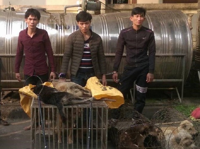 Đáng đời 4 'cẩu tặc' bị tóm gọn khi đang rao bán chó