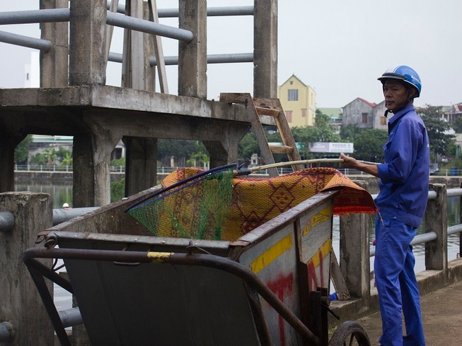 Cá chết trắng hồ giữa trung tâm TP Đông Hà