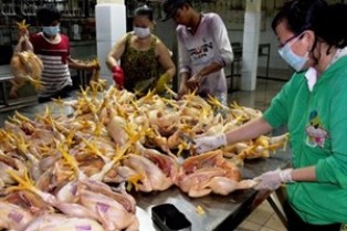 Siết chặt công tác vệ sinh an toàn thực phẩm dịp Tết