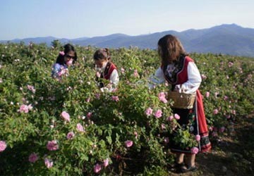 Lễ hội hoa hồng tại Bulgaria