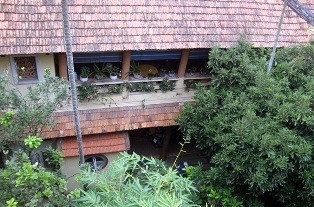 Nhà vườn độc nhất ở phố cổ