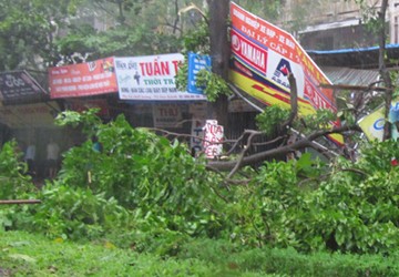 Những thiệt hại đầu tiên do bão đổ bộ vào đất liền
