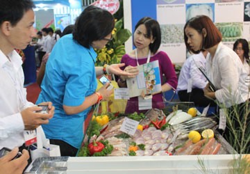 Bất lực nhìn Trung Quốc “vét” hàng