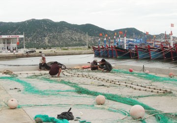 “Neo” phí cảng cá, doanh nghiệp kêu trời