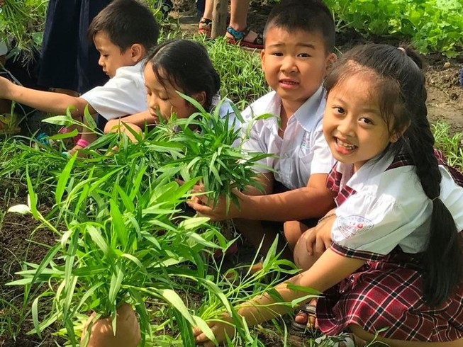 Tuyệt đối không tổ chức ôn tập cho HS tiểu học